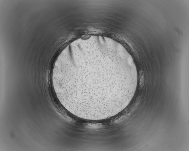 X0000110950455200907171632