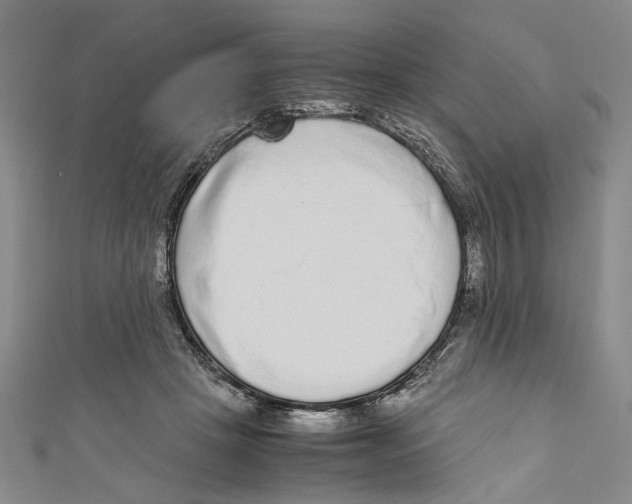 X0000110950457200907171632