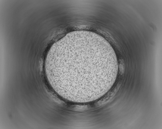 X0000110950458200907171632