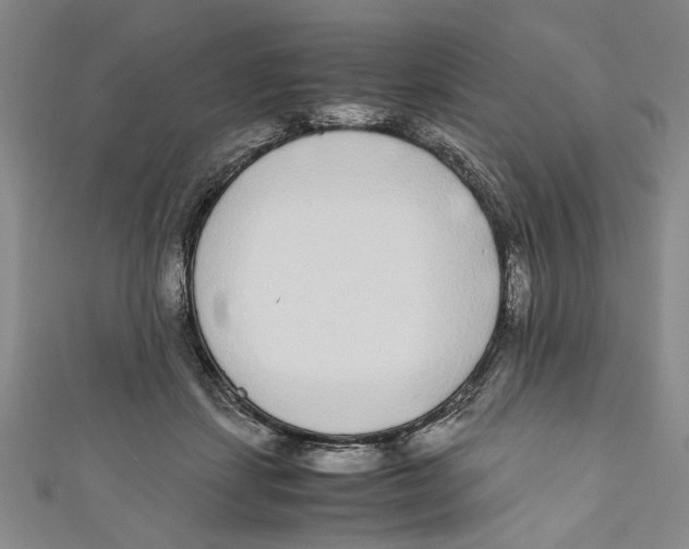 X0000110950459200907171632