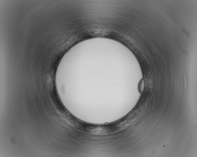 X0000110950460200907171632