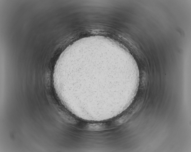 X0000110950461200907171632