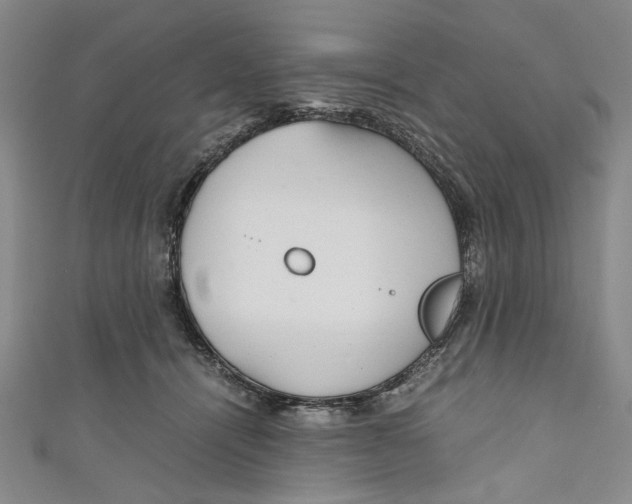 X0000110950464200907171632