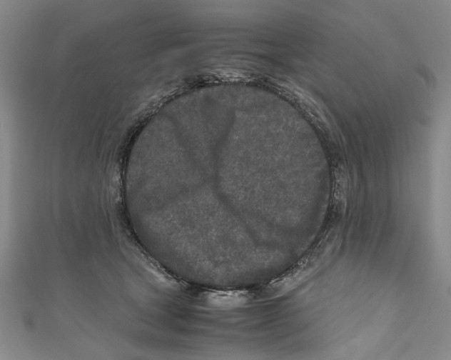 X0000110950465200907171632