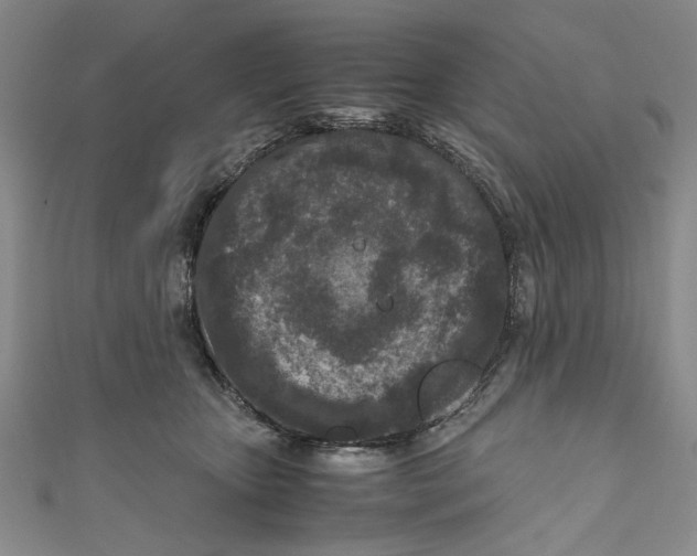 X0000110950467200907171632