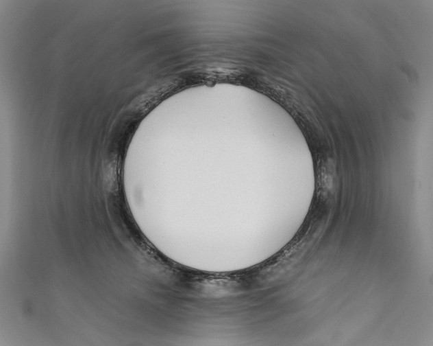 X0000110950468200907171632