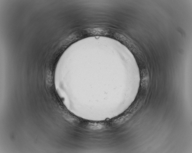 X0000110950469200907171632