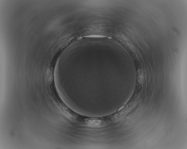 X0000110950471200907171632