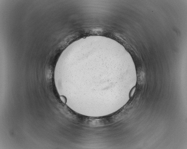 X0000110950472200907171632