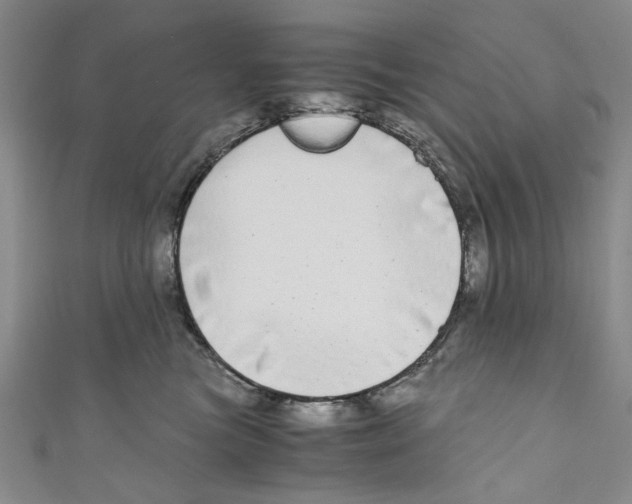 X0000110950473200907171632