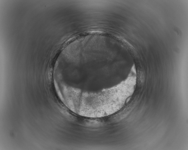 X0000110950475200907171632