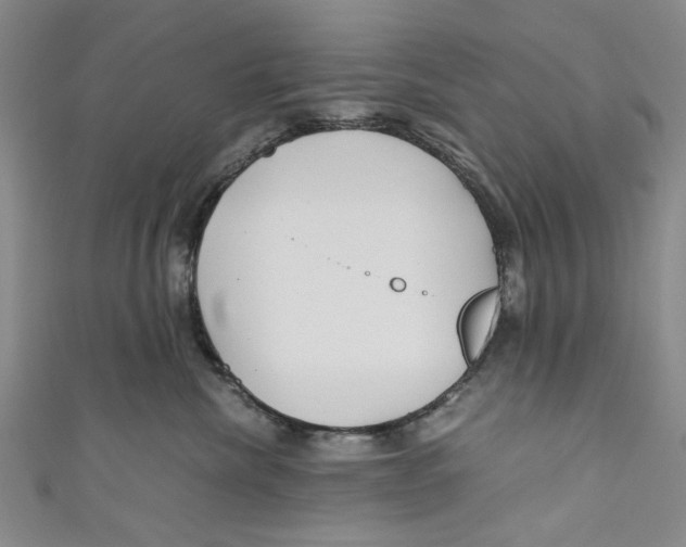 X0000110950476200907171632