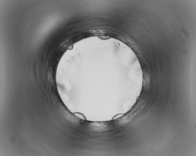 X0000110950477200907171632