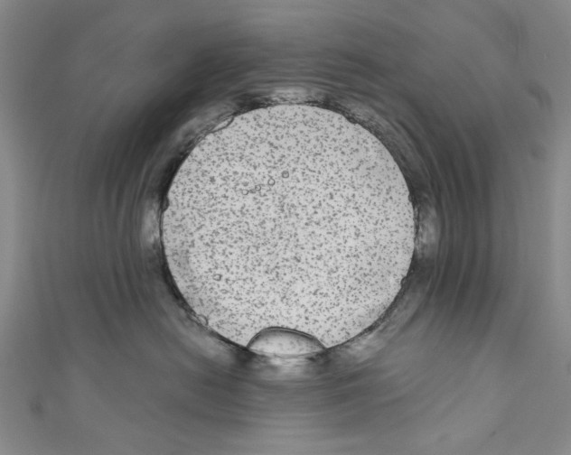 X0000110950478200907171632