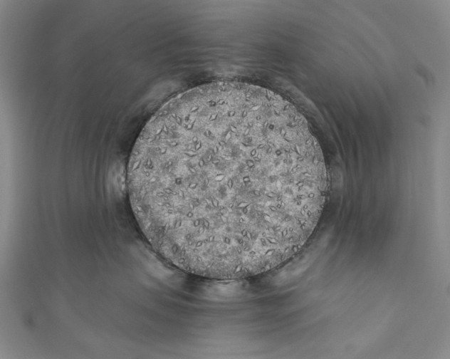 X0000110950479200907171632