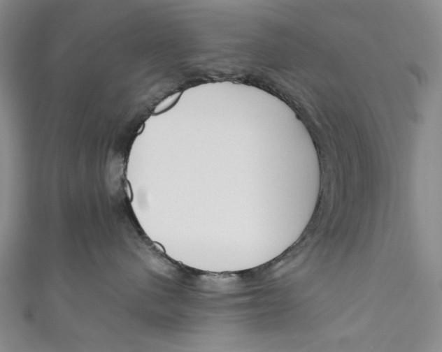 X0000110950480200907171632