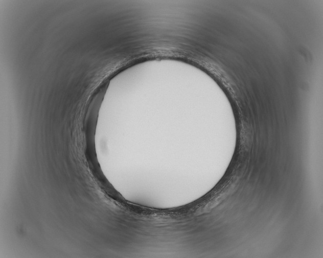 X0000110950481200907171632