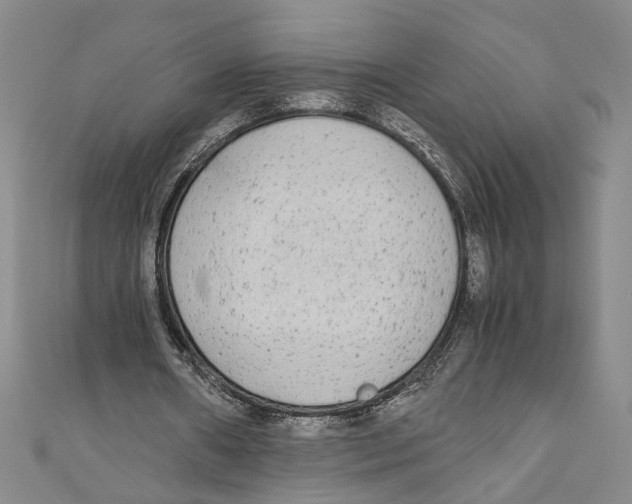 X0000110950482200907171632