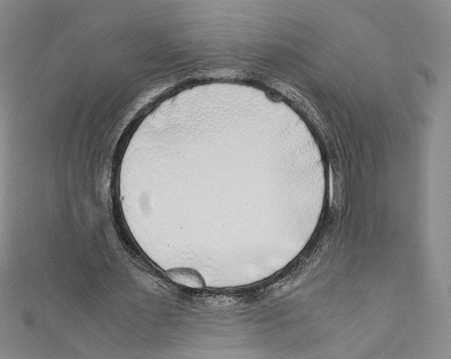 X0000110950483200907171632
