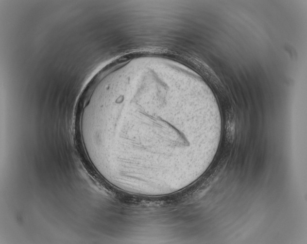 X0000110950484200907171632