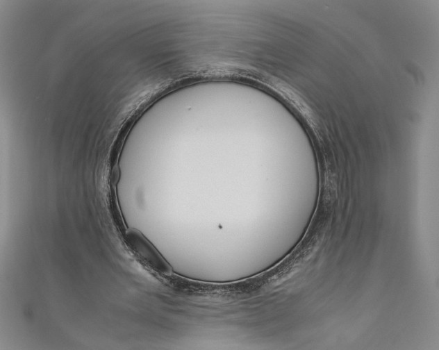 X0000110950485200907171632