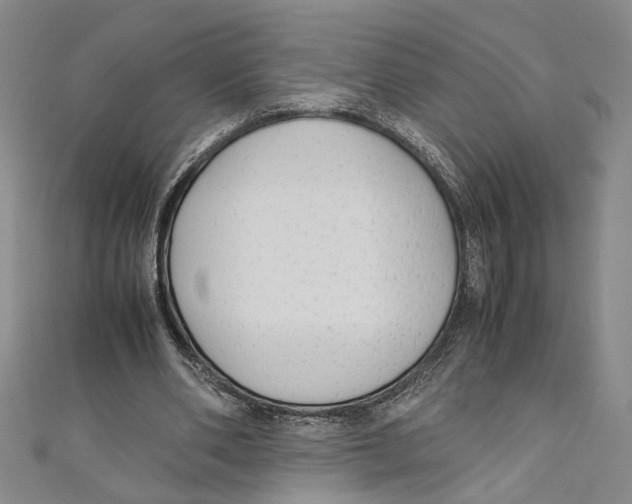 X0000110950486200907171632