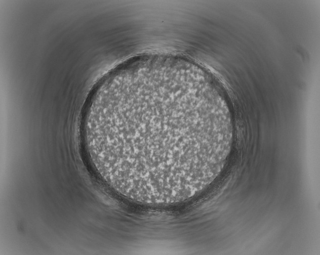 X0000110950487200907171632