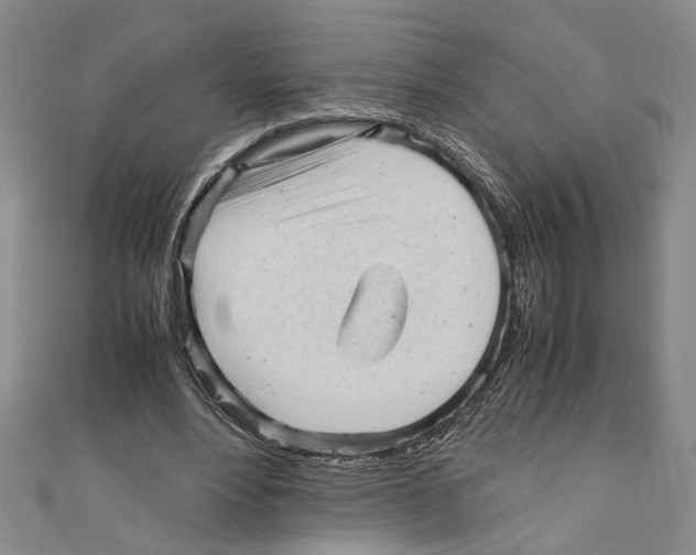 X0000110950488200907171632