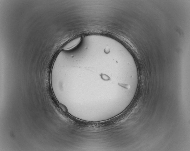 X0000110950489200907171631