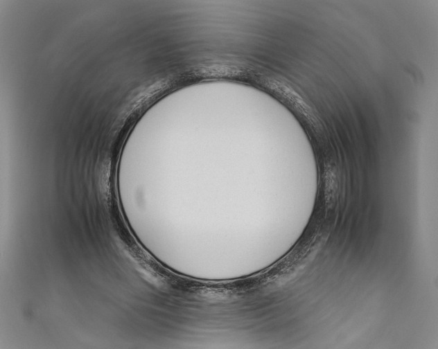 X0000110950490200907171631