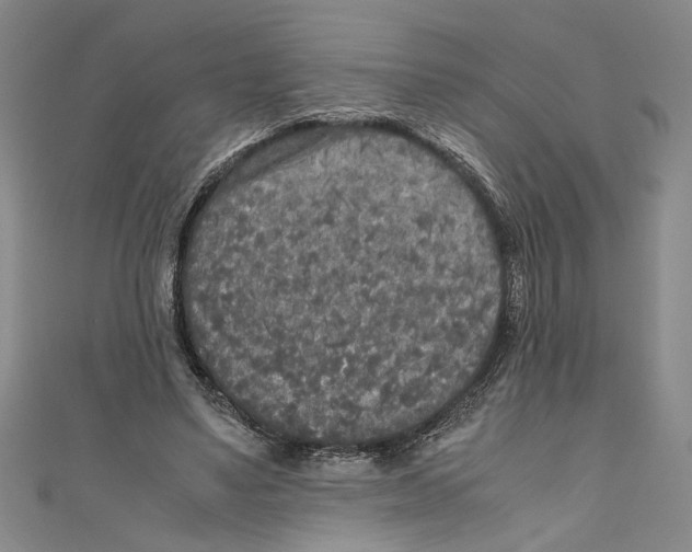 X0000110950491200907171631