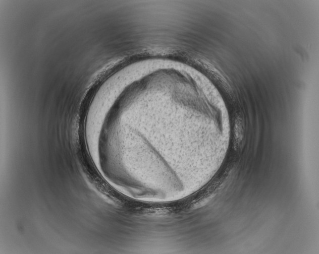 X0000110950492200907171631