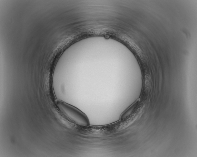 X0000110950493200907171631