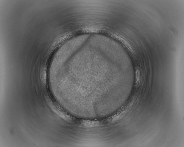 X0000110950494200907171631