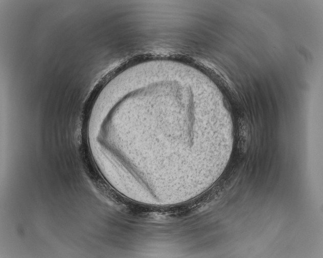 X0000110950496200907171631