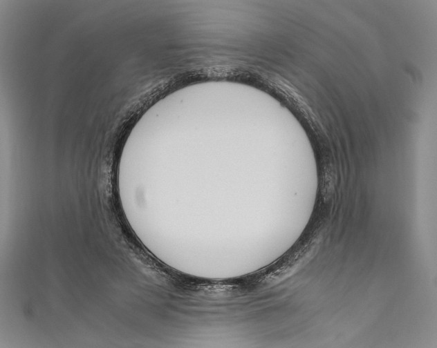 X0000110950497200907171631