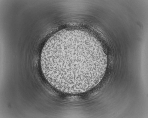 X0000110950499200907171631