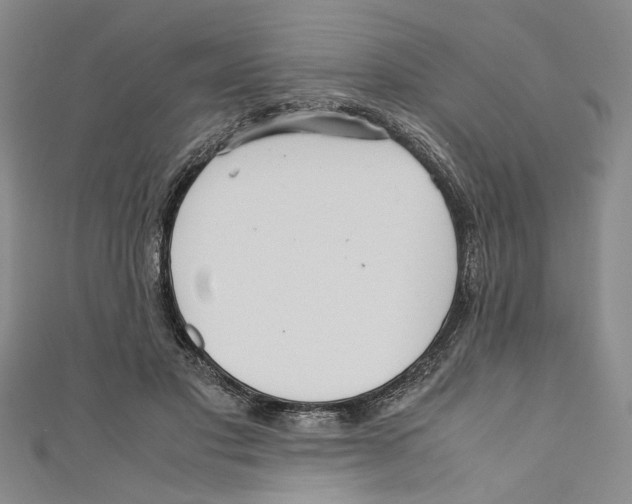 X0000110950501200907171631