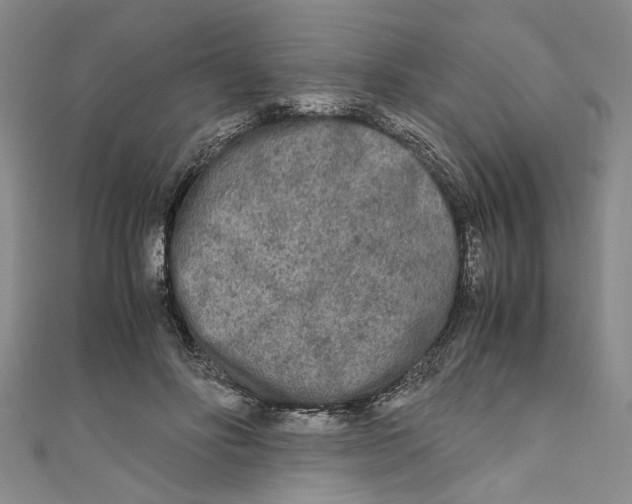 X0000110950502200907171631