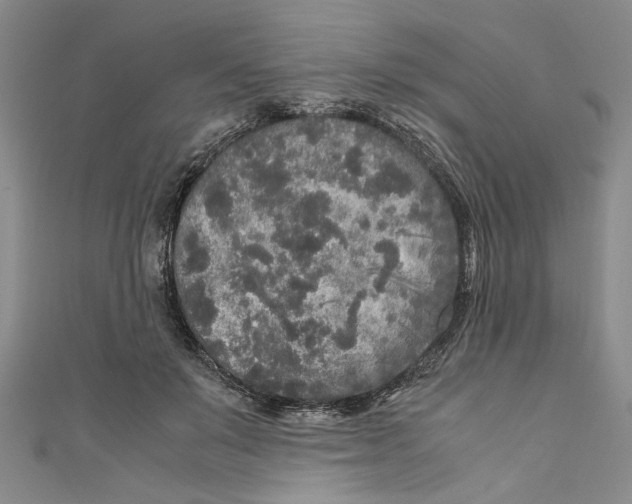X0000110950503200907171631
