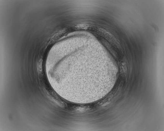 X0000110950504200907171631