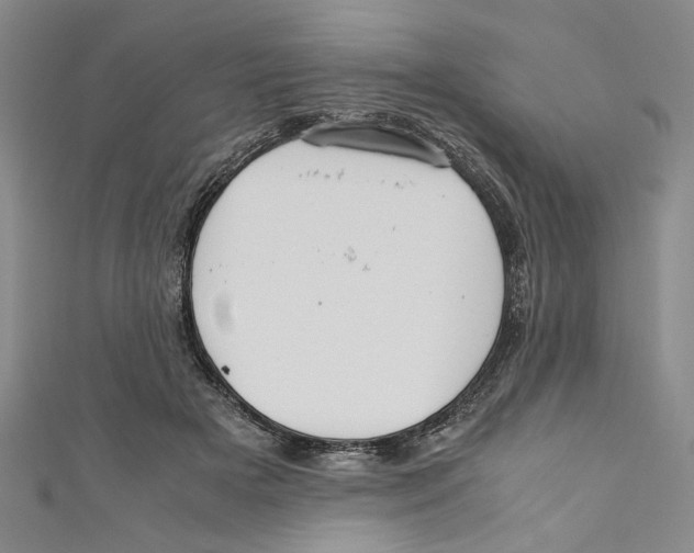 X0000110950505200907171631
