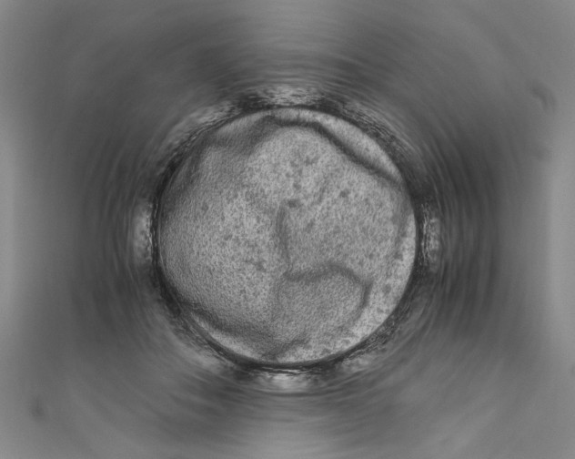 X0000110950506200907171631