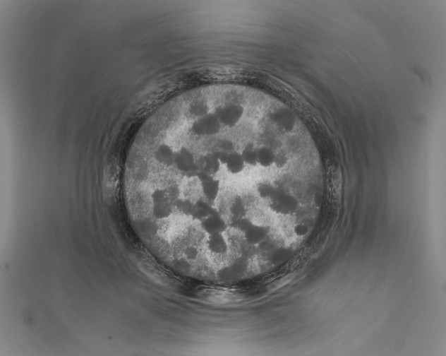 X0000110950507200907171631