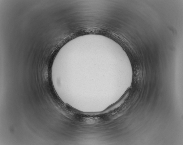 X0000110950508200907171631