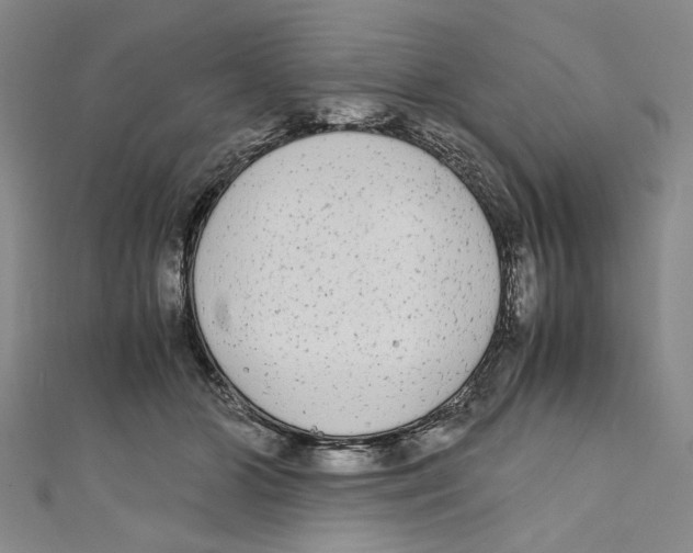 X0000110950510200907171631