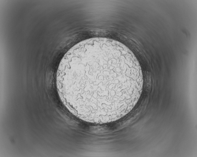 X0000110950511200907171631