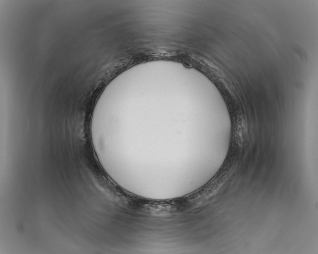 X0000110950512200907171631