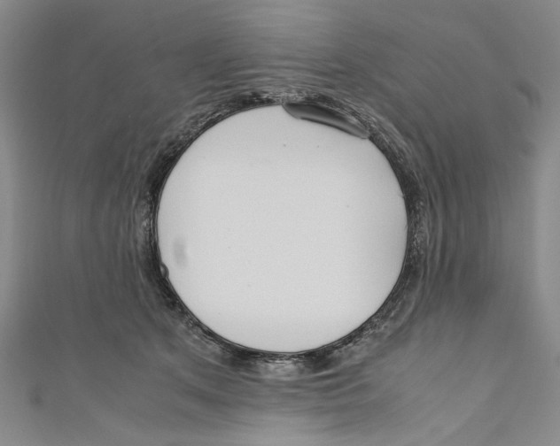 X0000110950513200907171631