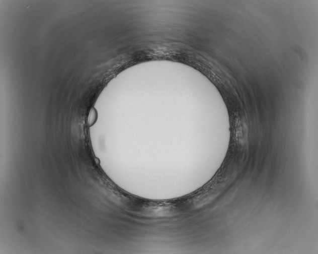 X0000110950514200907171631